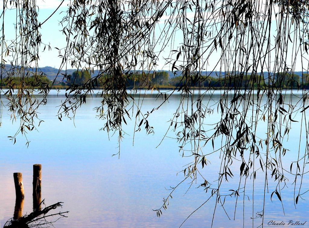 Anthares World Resort Candia Canavese ภายนอก รูปภาพ